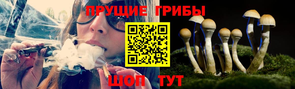Псилоцибиновые грибы мицелий  Вход с VPN  купить  цена  Галлюциногенные грибы MAGIC MUSHROOMS  Северск 